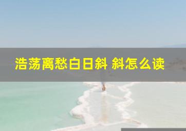 浩荡离愁白日斜 斜怎么读